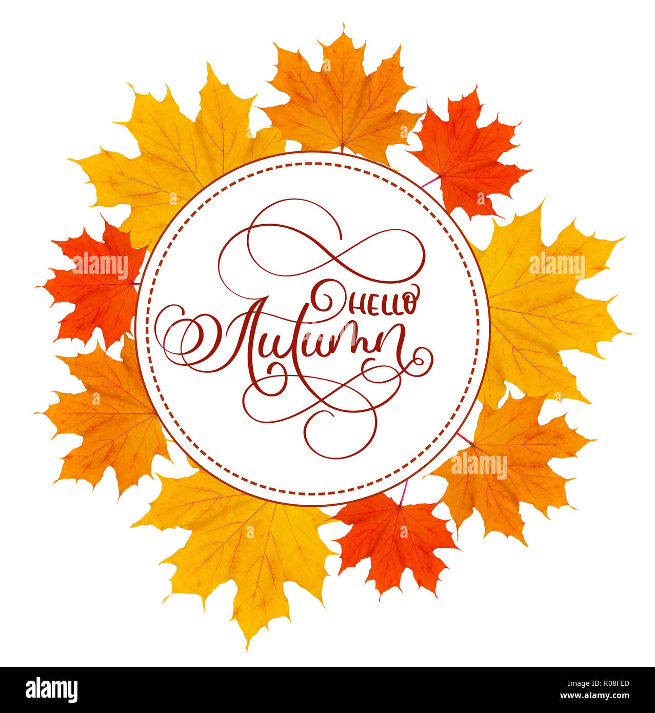 Herbst gelbe Blätter auf weißem backgroun und Kalligraphie text Hallo Herbst im Zentrum Stockfoto