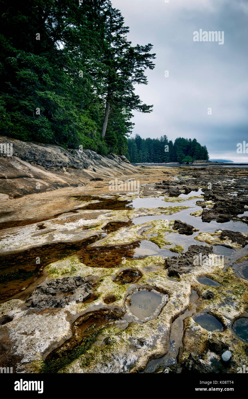 Lizenz erhältlich bei MaximImages.com Tide Pools im Botanical Beach Juan de Fuca Provincial Park Port Renfrew Vancouver Island British Columbia, Kanada Stockfoto