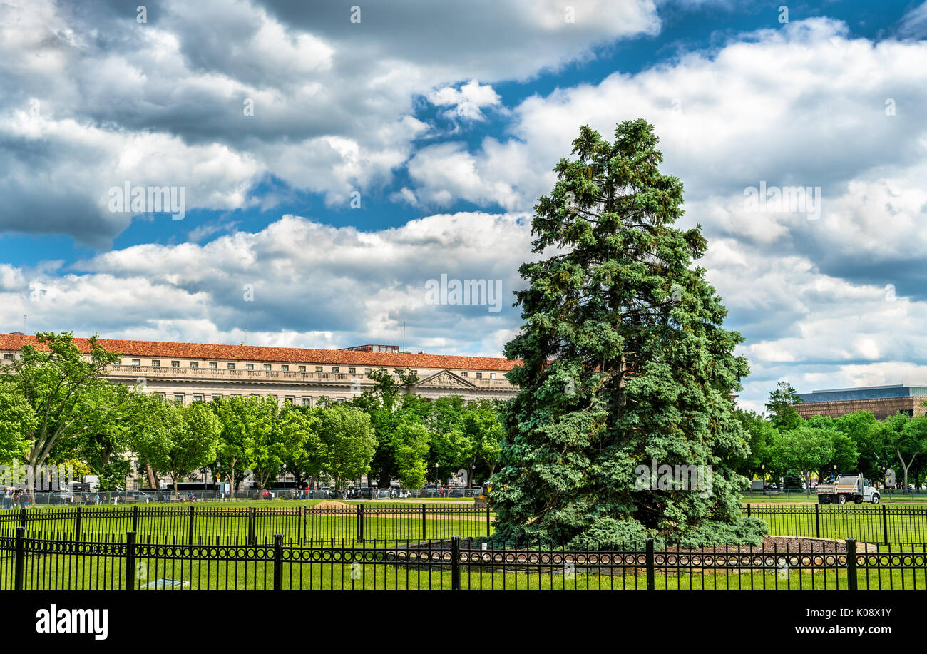 Der National Christmas Tree vor dem Weißen Haus, Washington, DC Stockfoto