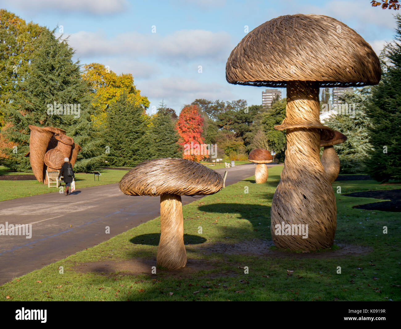 Europa, Großbritannien, England, London, Kew Gardens Pilze Stockfoto