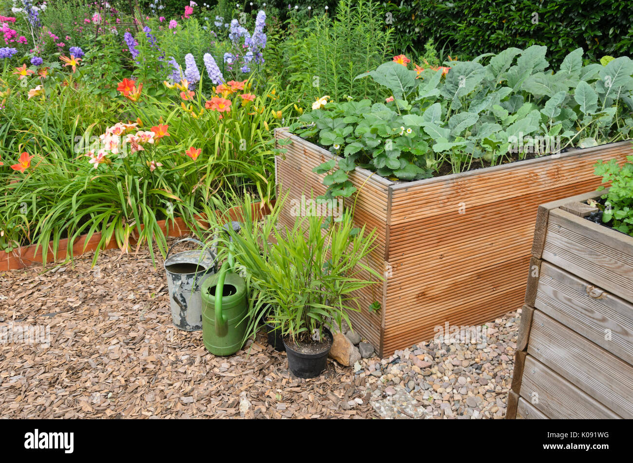 Erdbeere (Fragaria x ananassa) und Kohlrabi (Brassica oleracea var. gongyloides) in Hochbeeten. Design: Marianne und Detlef Lüdke Stockfoto