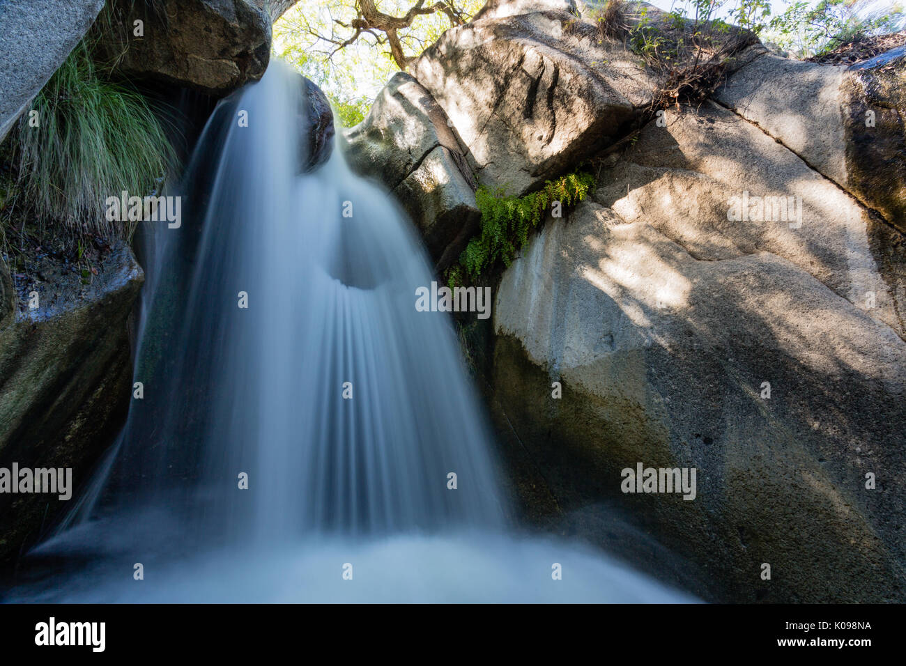 Monsunregen schwillt Madera Canyon fällt in der Santa Rita Mountains in der Nähe von Tucson, Arizona. Stockfoto