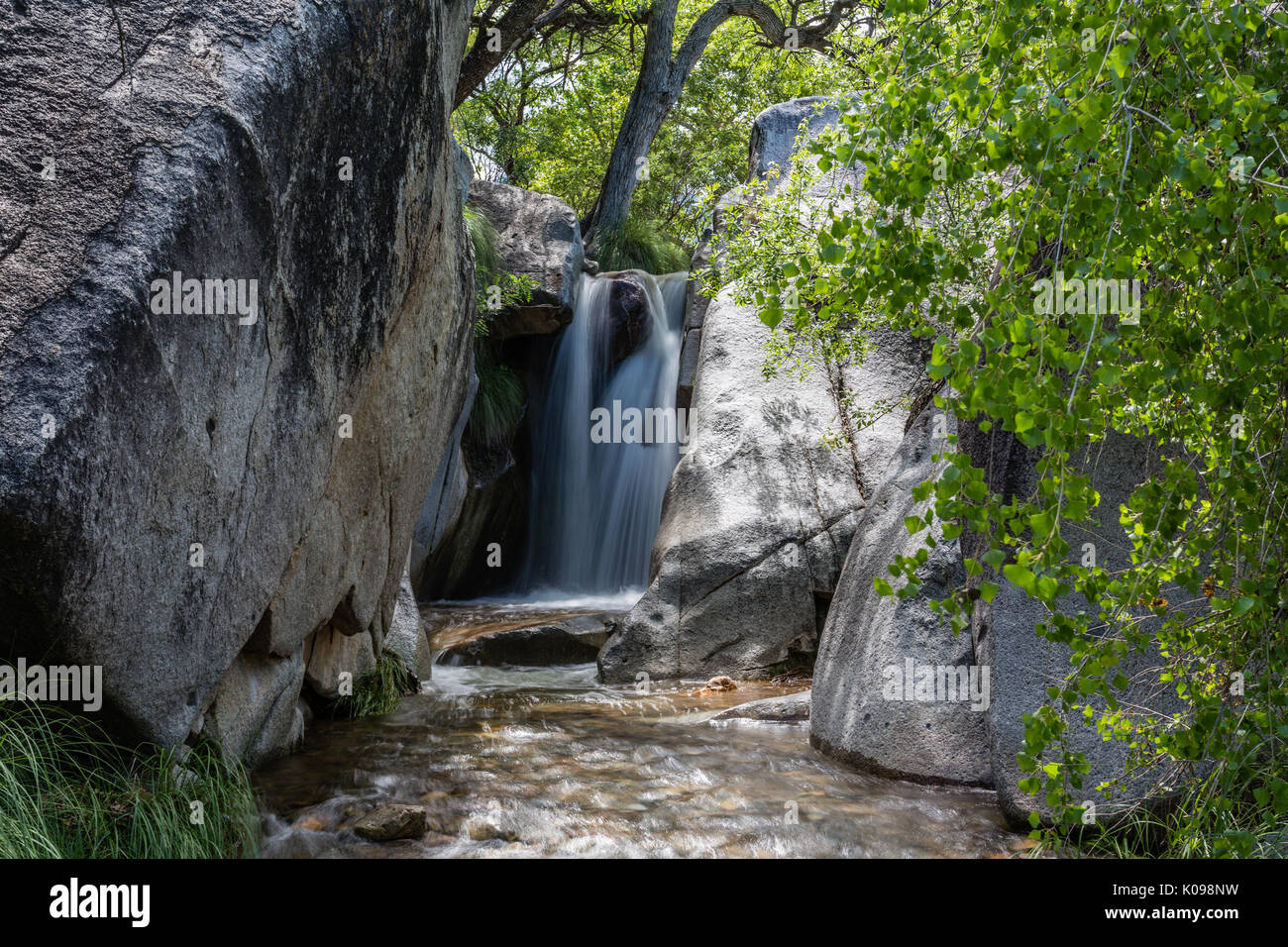 Monsunregen schwillt Madera Canyon fällt in der Santa Rita Mountains in der Nähe von Tucson, Arizona. Stockfoto
