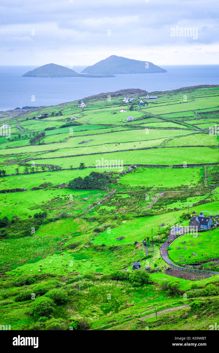 Deemish und Scariff Inseln, County Kerry, Irland Stockfoto