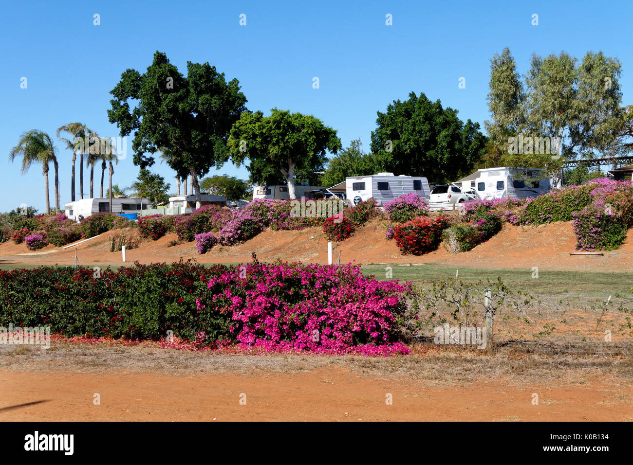 Steinbock Holiday Park, Carnarvon, Gascoyne, Western Australia Stockfoto