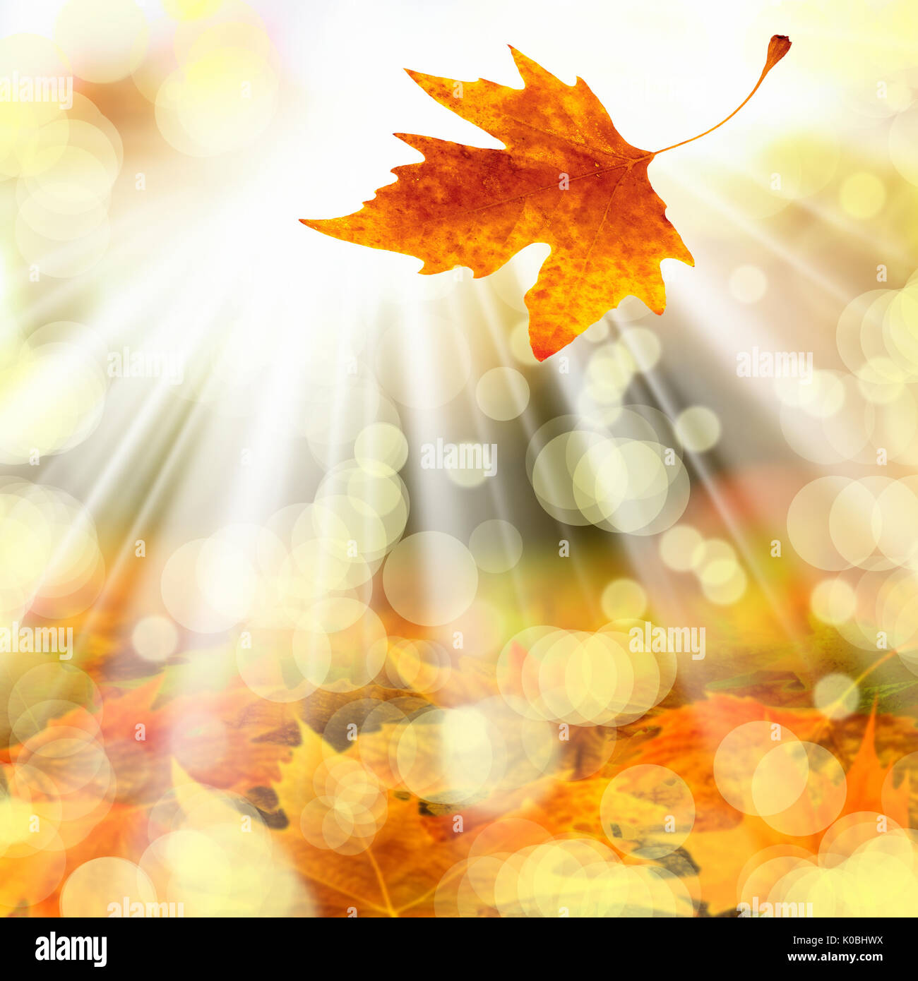 Hintergrundbild von bunten Herbstlaub und Licht Stockfoto