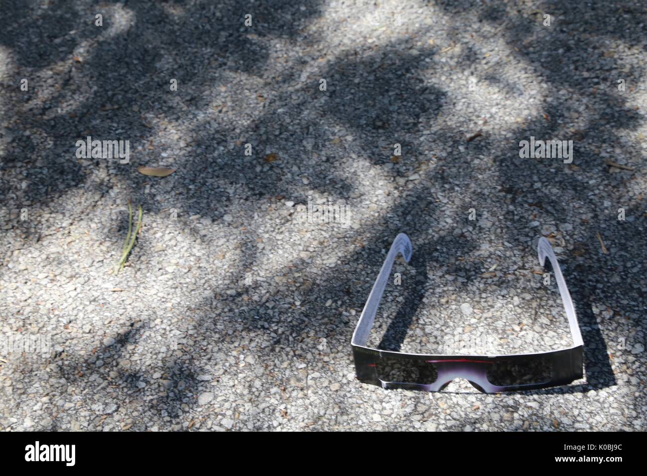 Sonnenfinsternis anzeigen Brille auf der Fahrbahn durch Crescent-Shaped Reflexionen durch Blätter Cast Umgeben Stockfoto