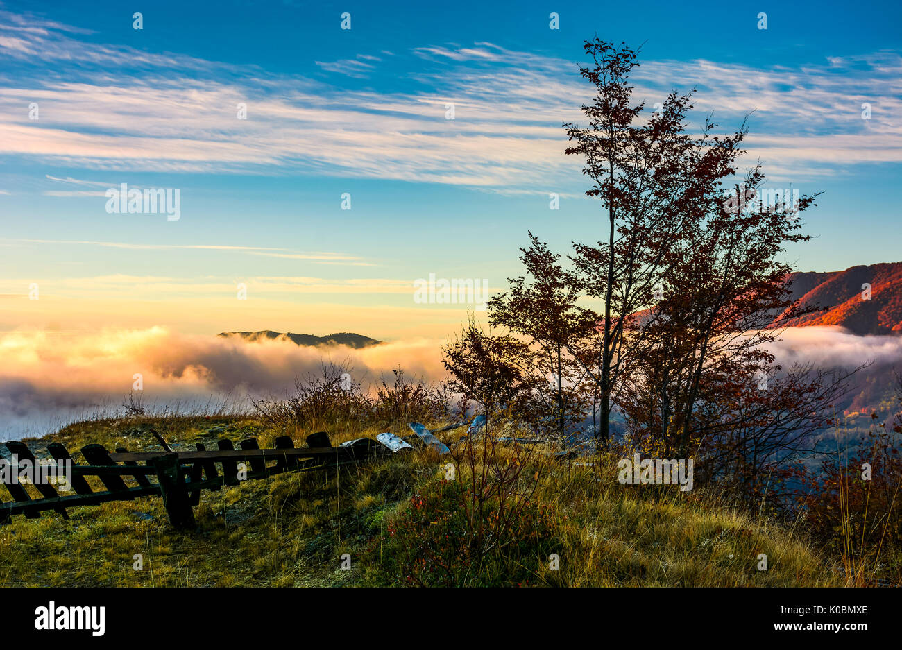 Baum auf einer Kuppe über dem Grat und Wolken bei Sonnenaufgang. Exquisite herbstliche Landschaft in bergigen Landschaft Stockfoto