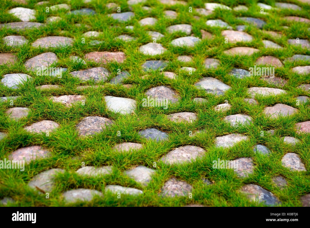 Grüne Gras wachsen durch den Steinboden. Stockfoto