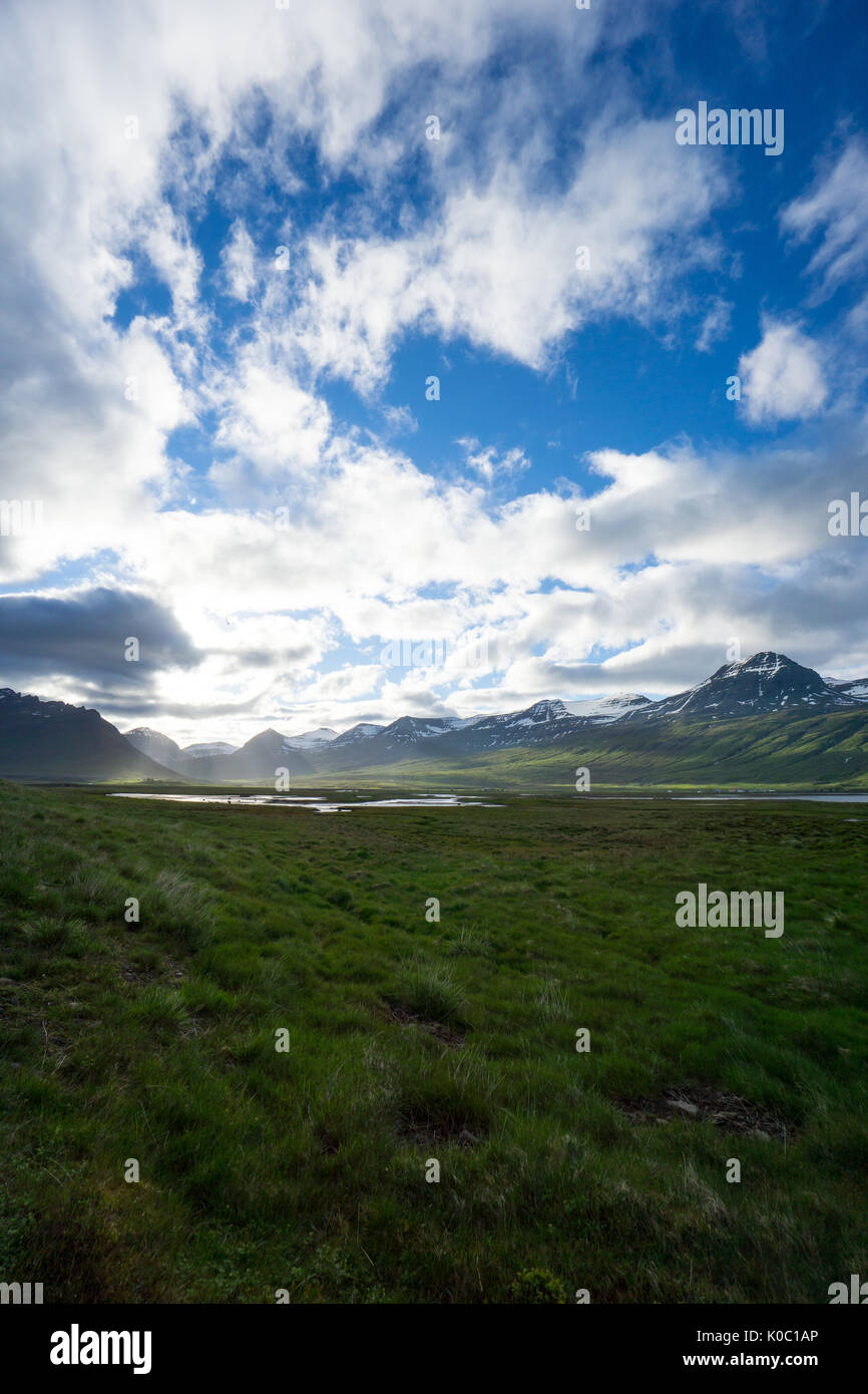 Island - endlose magische Landschaft mit sonnigen Wiesen zwischen schneebedeckten Bergen Stockfoto