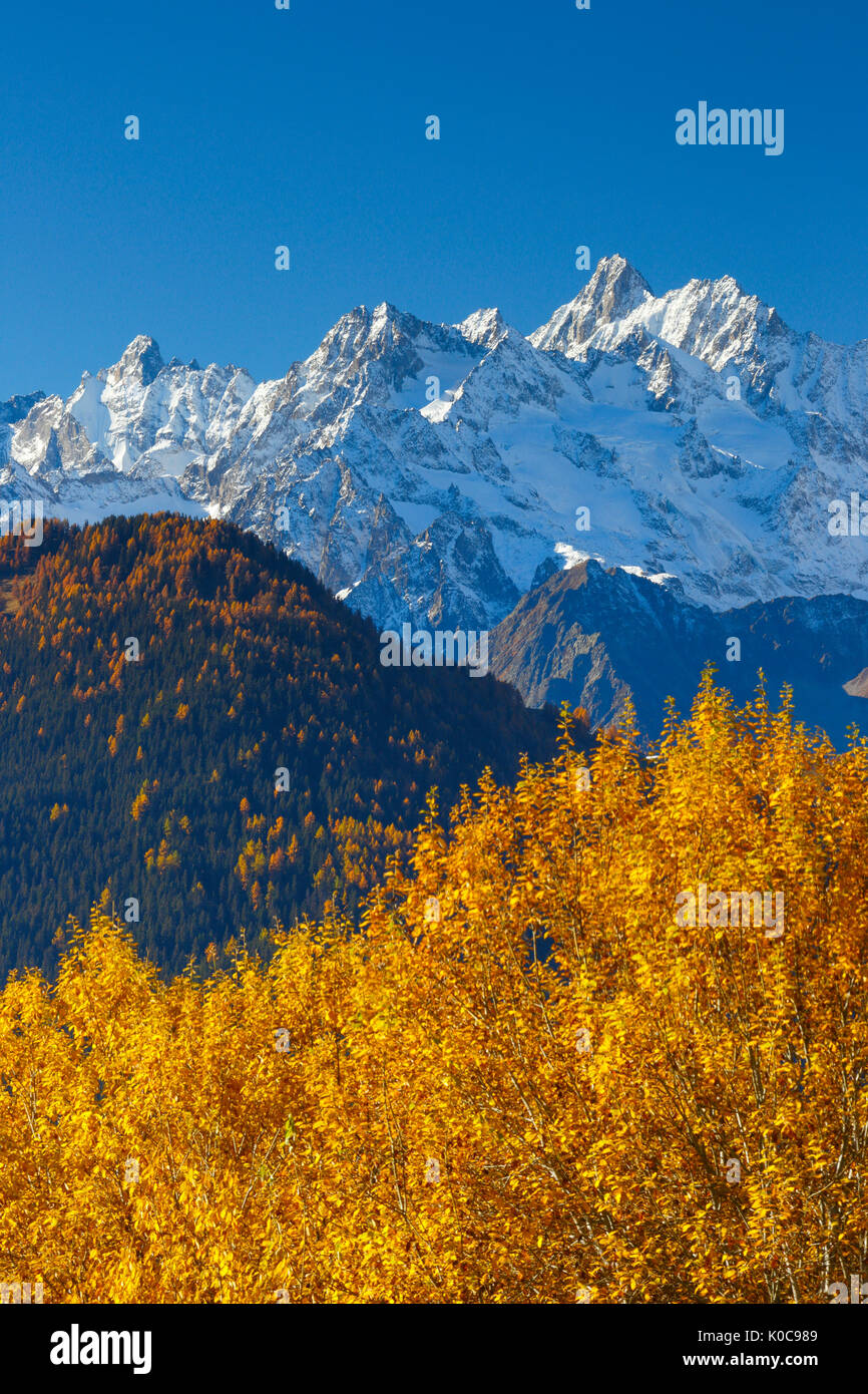 Tour Noir - 3835 m, Frankreich Stockfoto