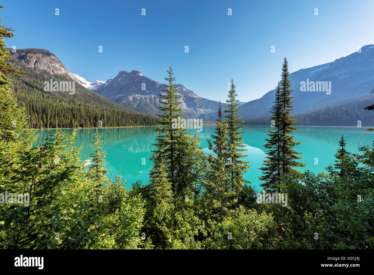 Emerald Lake bei Sonnenaufgang im Yoho National Park, British Columbia, Kanada. Stockfoto