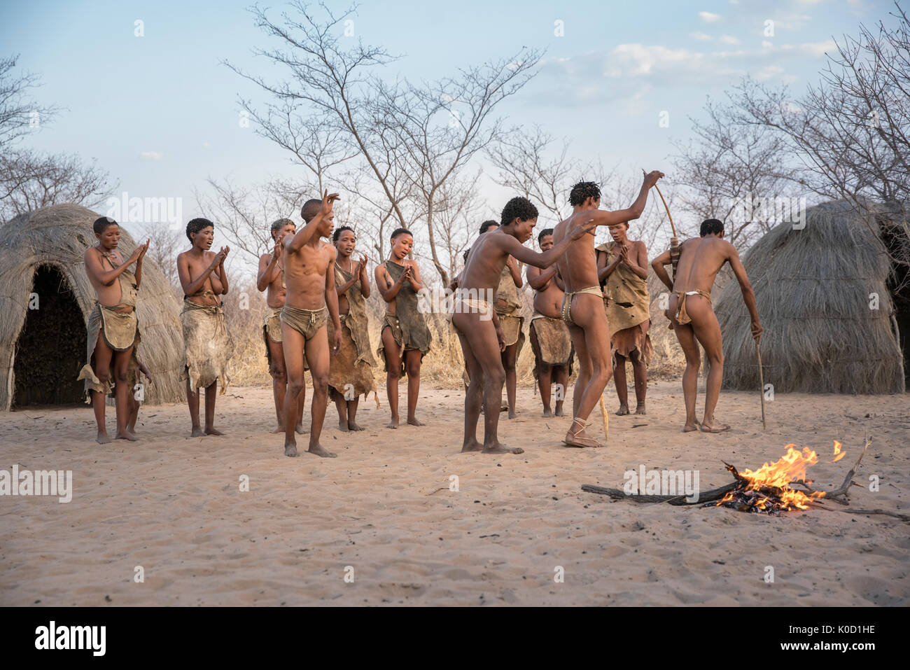 Männer und Frauen tanzen in Buschmann Jäger Lebendige Geschichte Dorf. Grashoek, Otjozondjupa, Namibia, Afrika. Stockfoto