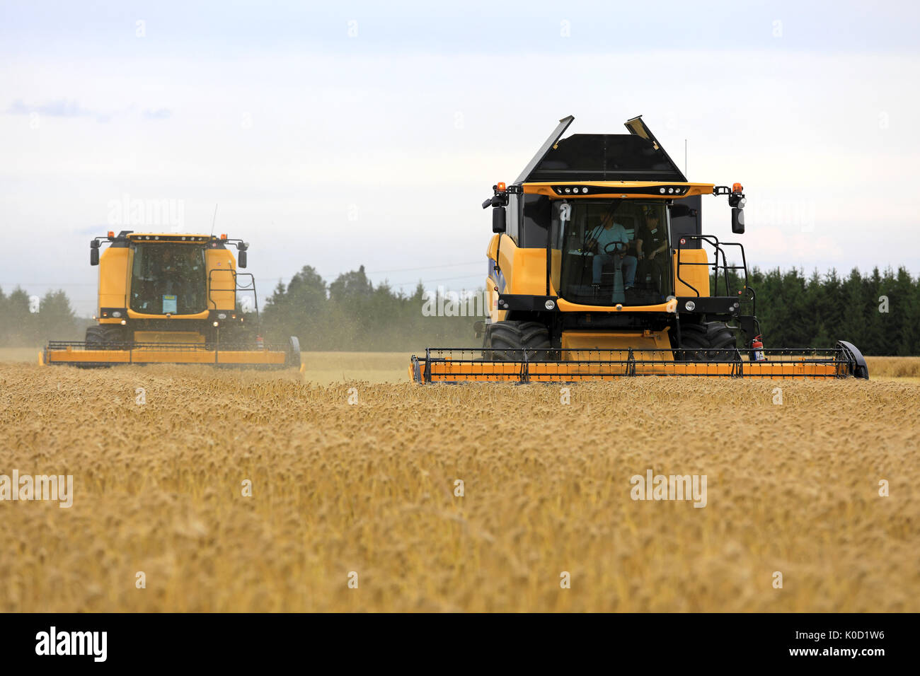 SALO, Finnland - 18. AUGUST 2017: Zwei New Holland Mähdrescher, TC 5.70 RS und CX 5,80 RS ernten reife Gerste auf Puontin Peltopaivat 2017 z.b Stockfoto