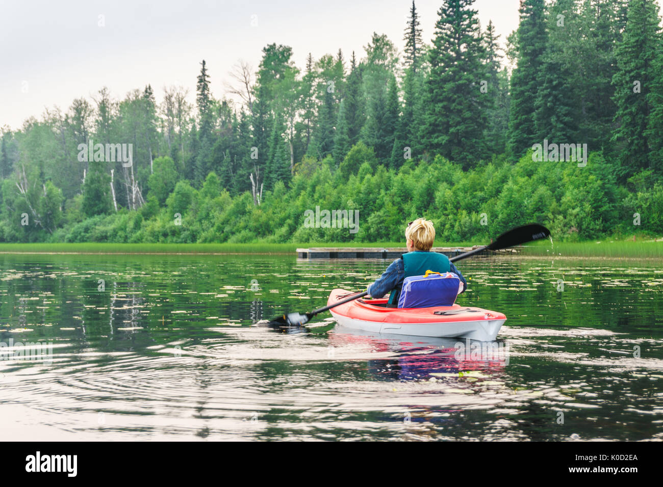 Frau in einem Kajak paddeln entlang des Seeufers, Alberta, Kanada Stockfoto