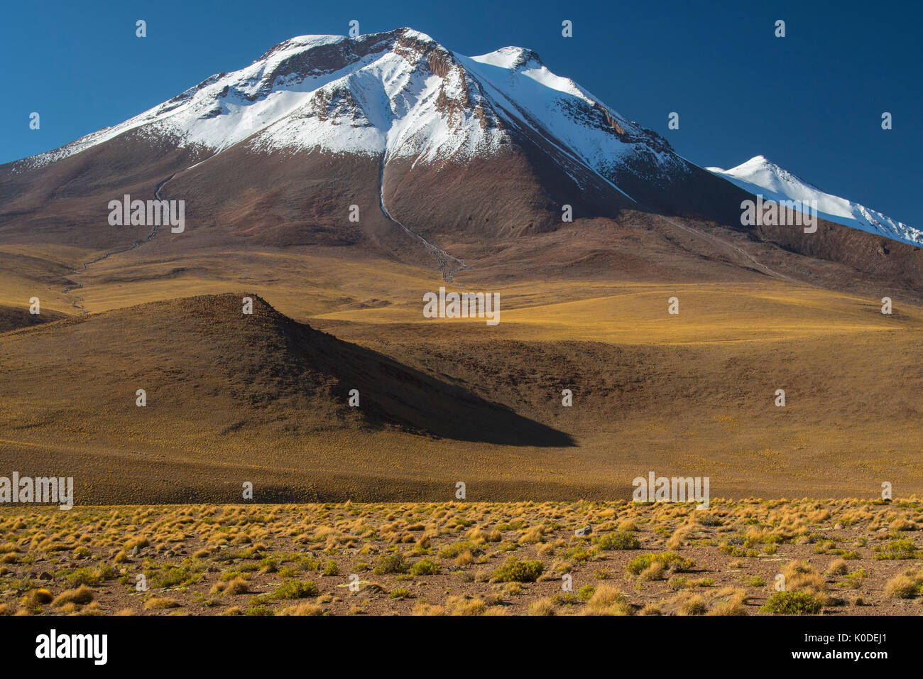 Südamerika, Anden, Altiplano, Bolivien, Vulkan Ollagüe Stockfoto