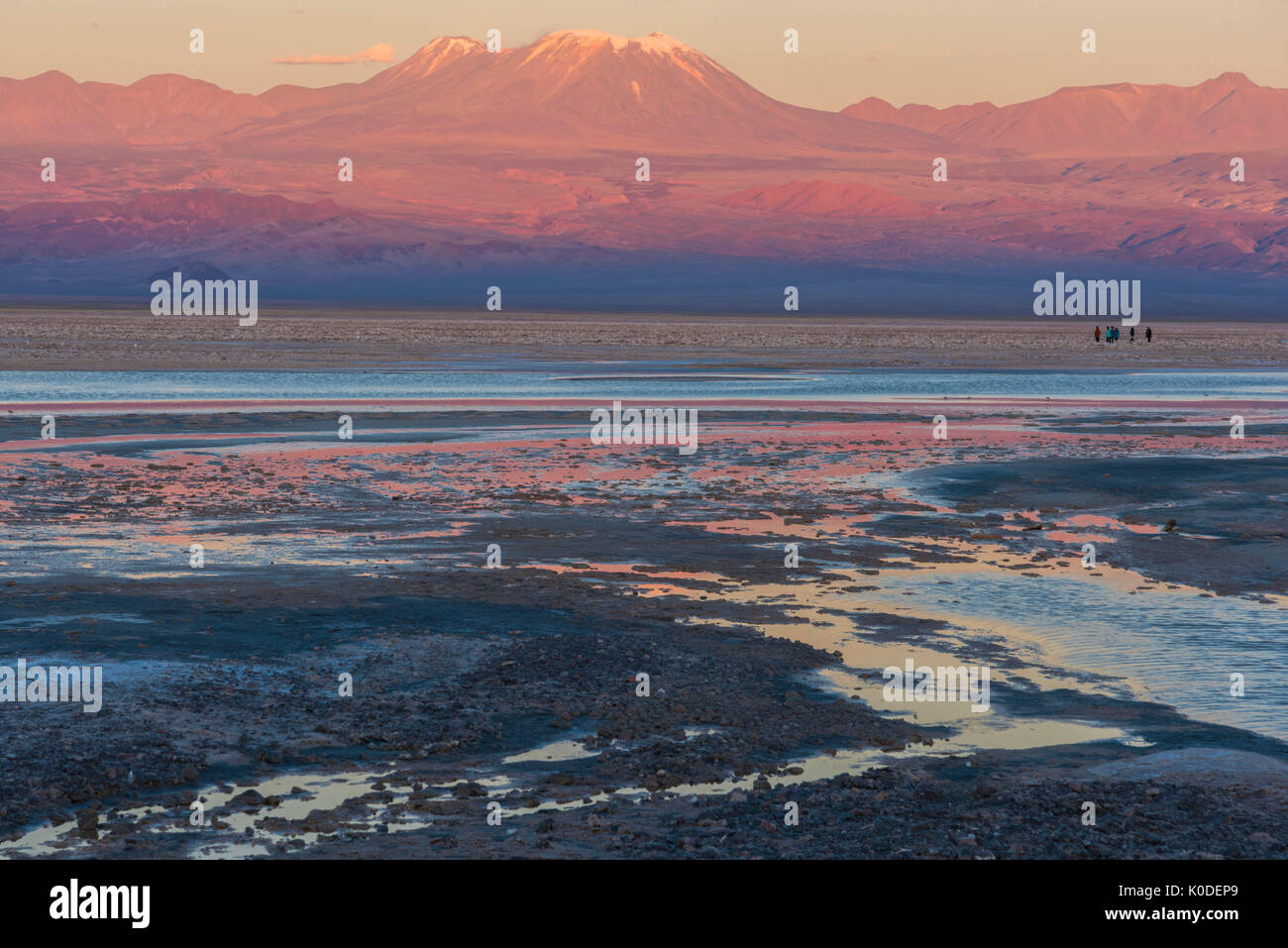 Südamerika, Anden, Atacama, San Pedro de Atacama Salar de Atacama bei Sonnenuntergang Stockfoto