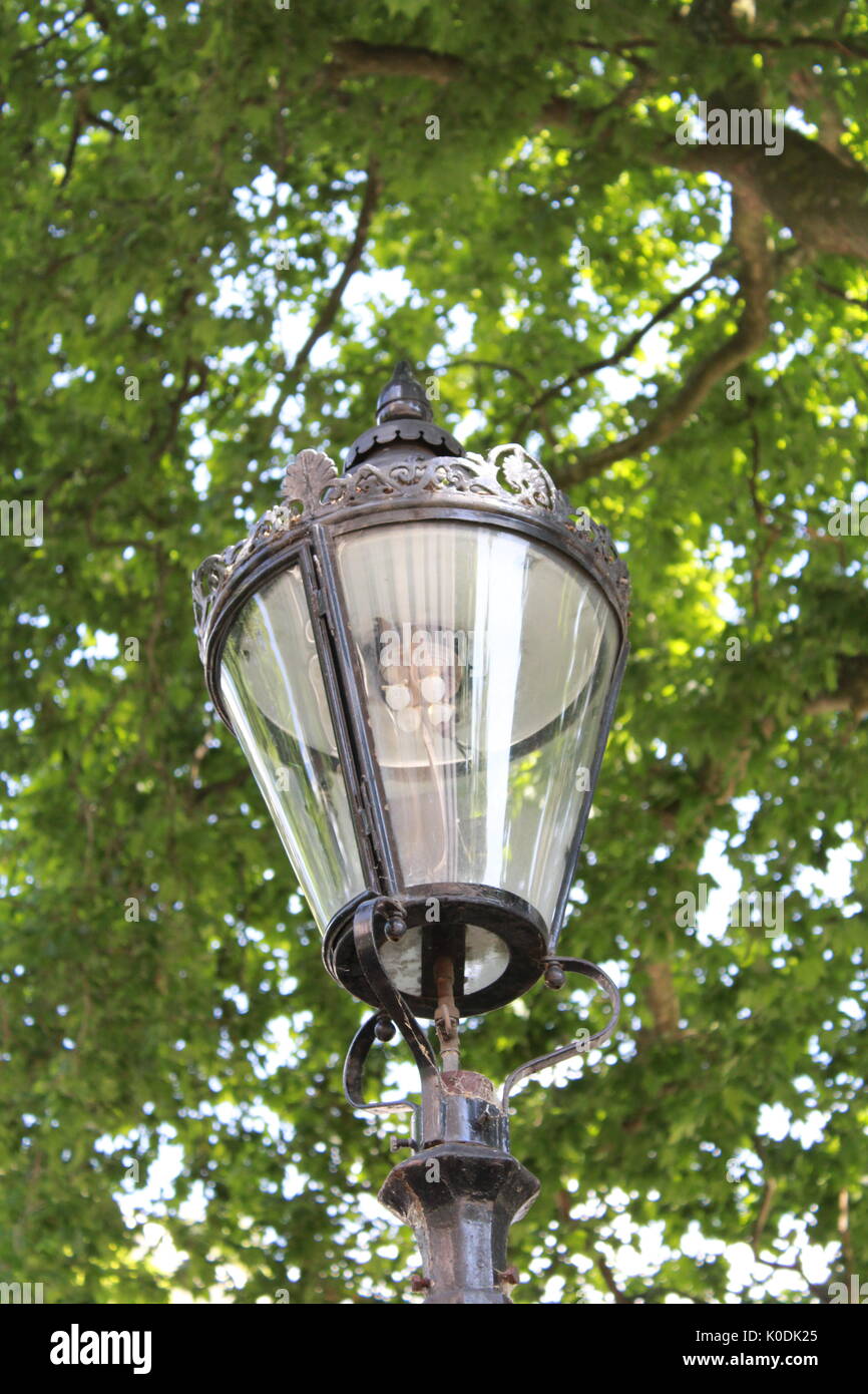 Lamp Post unter den Bäumen Stockfoto