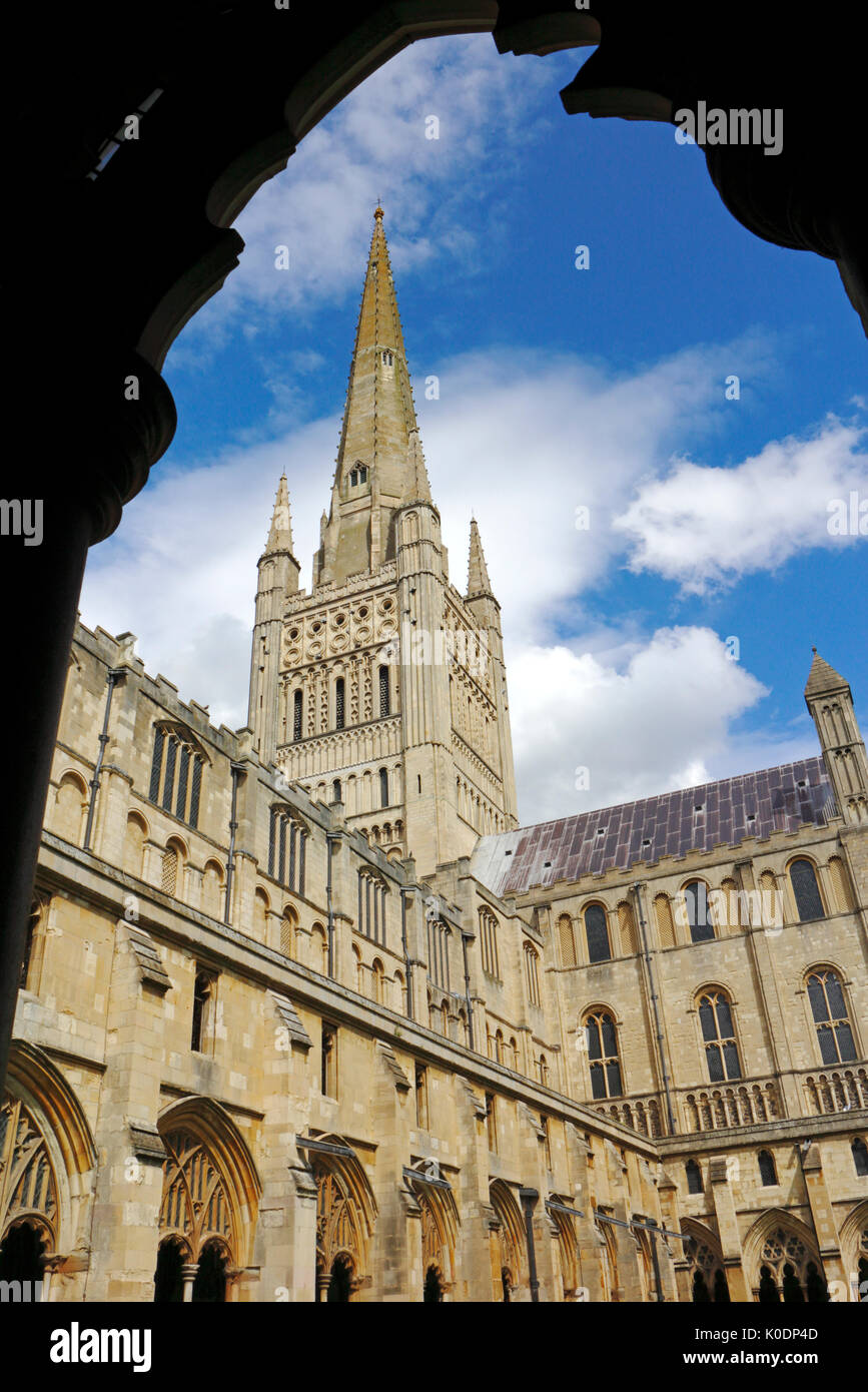 Ein Blick auf die Kathedrale der anglikanischen Kirche der heiligen und ungeteilten Dreifaltigkeit in der Stadt Norwich, Norfolk, England, Vereinigtes Königreich. Stockfoto