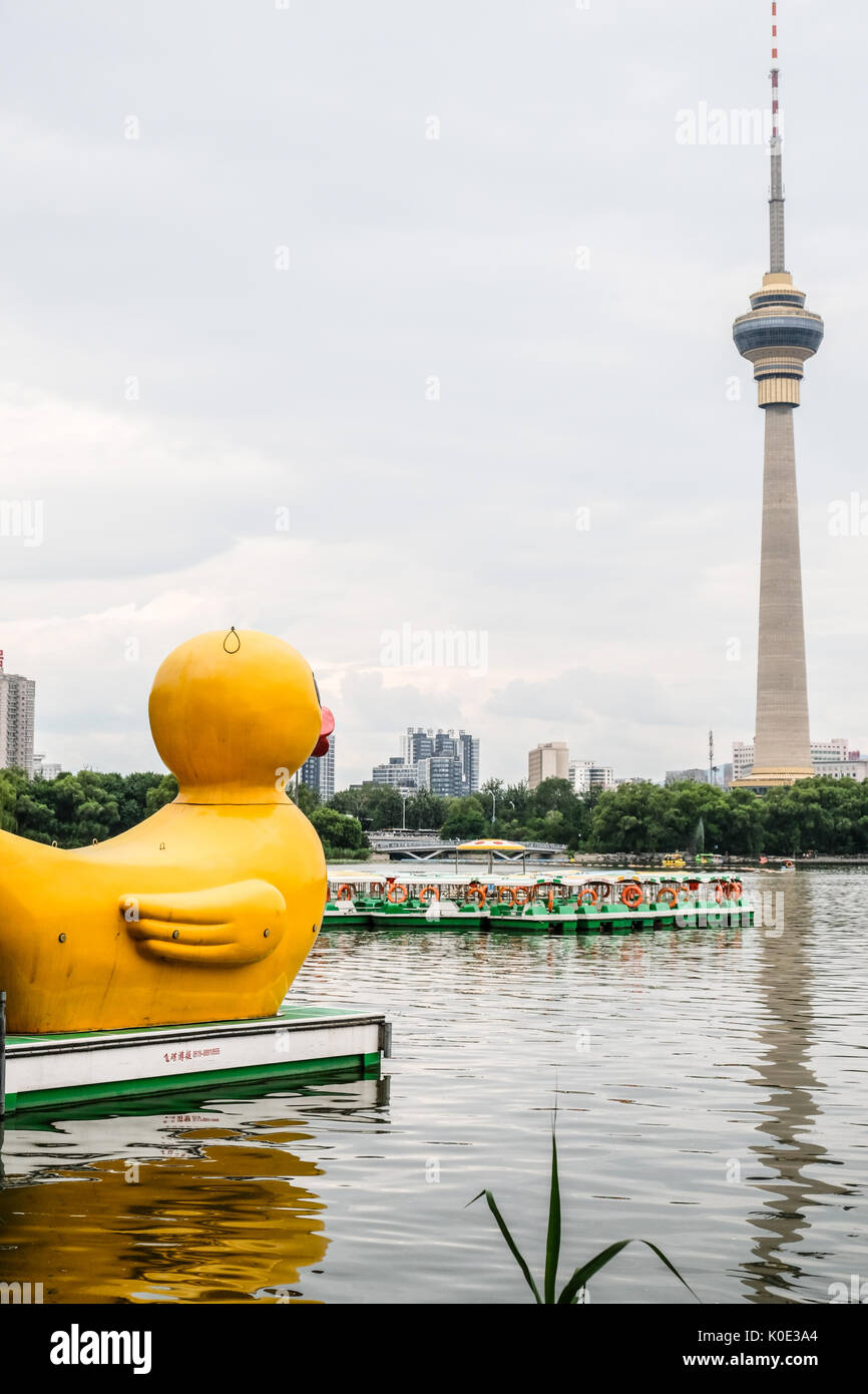 Eine riesige gelbe Ente schwimmend auf Yu Yuan Tan See in Peking, China, Rückblick auf die CCTV-Towner. Stockfoto