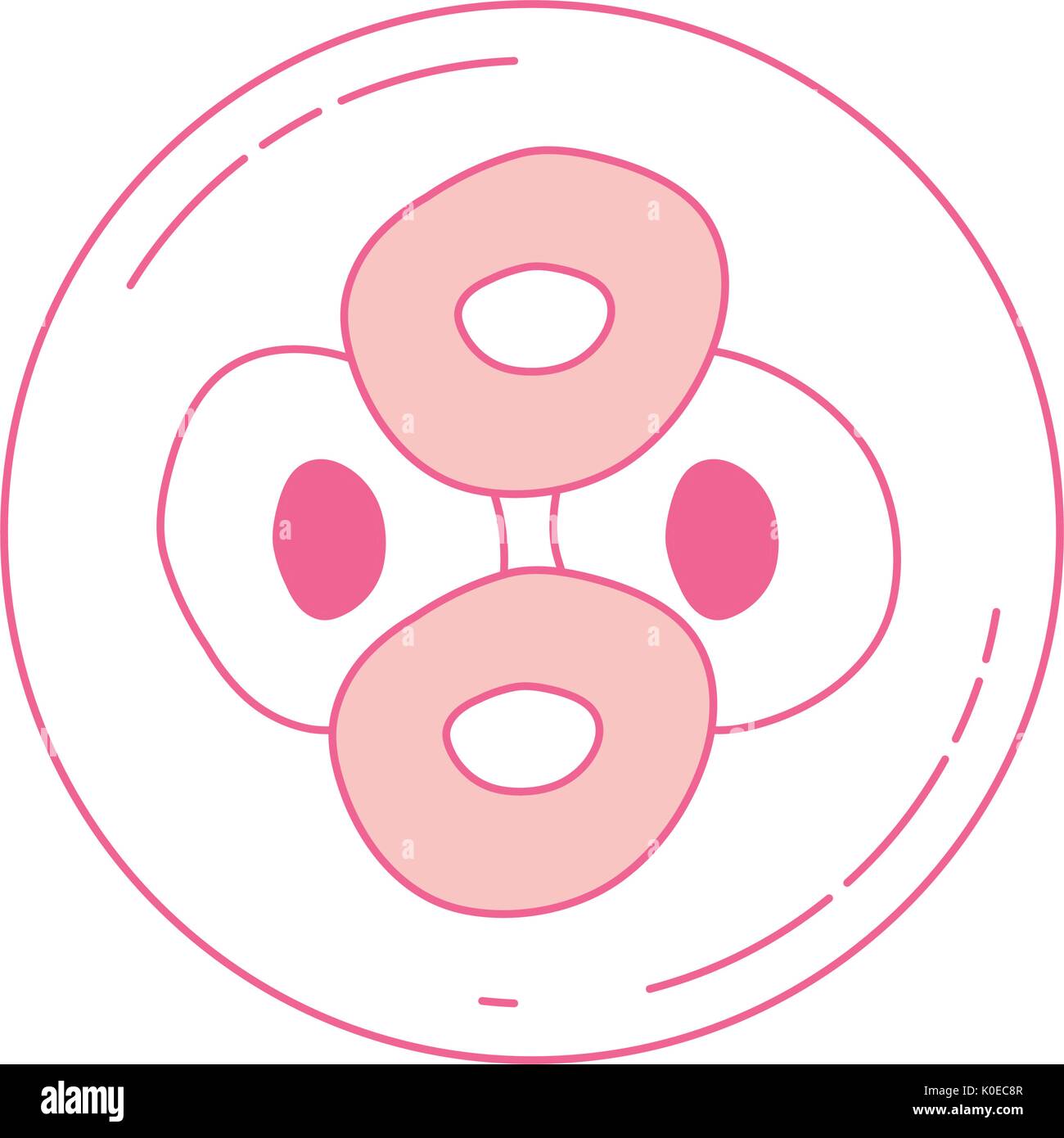 Rosa Silhouette der Vorderansicht Teilung der Eizelle in Zellen Stock Vektor