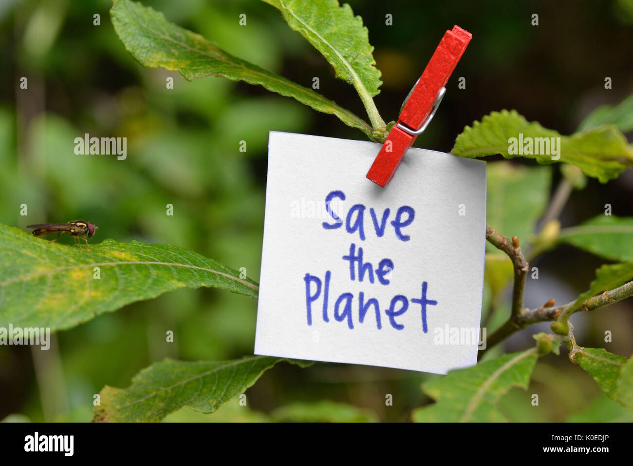 Speichern Sie die Planeten - Ökologie Konzept Stockfoto