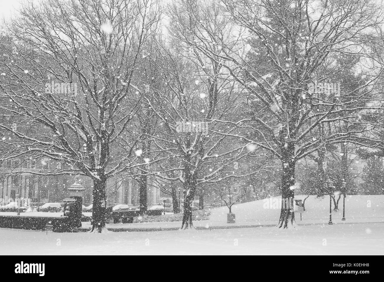 Der östliche Eingang zum Homewood Campus der Johns Hopkins University in Baltimore, Maryland, ist schneebedeckt und es fällt mehr Schnee, 2015. Mit Freundlicher Genehmigung Von Eric Chen. Stockfoto