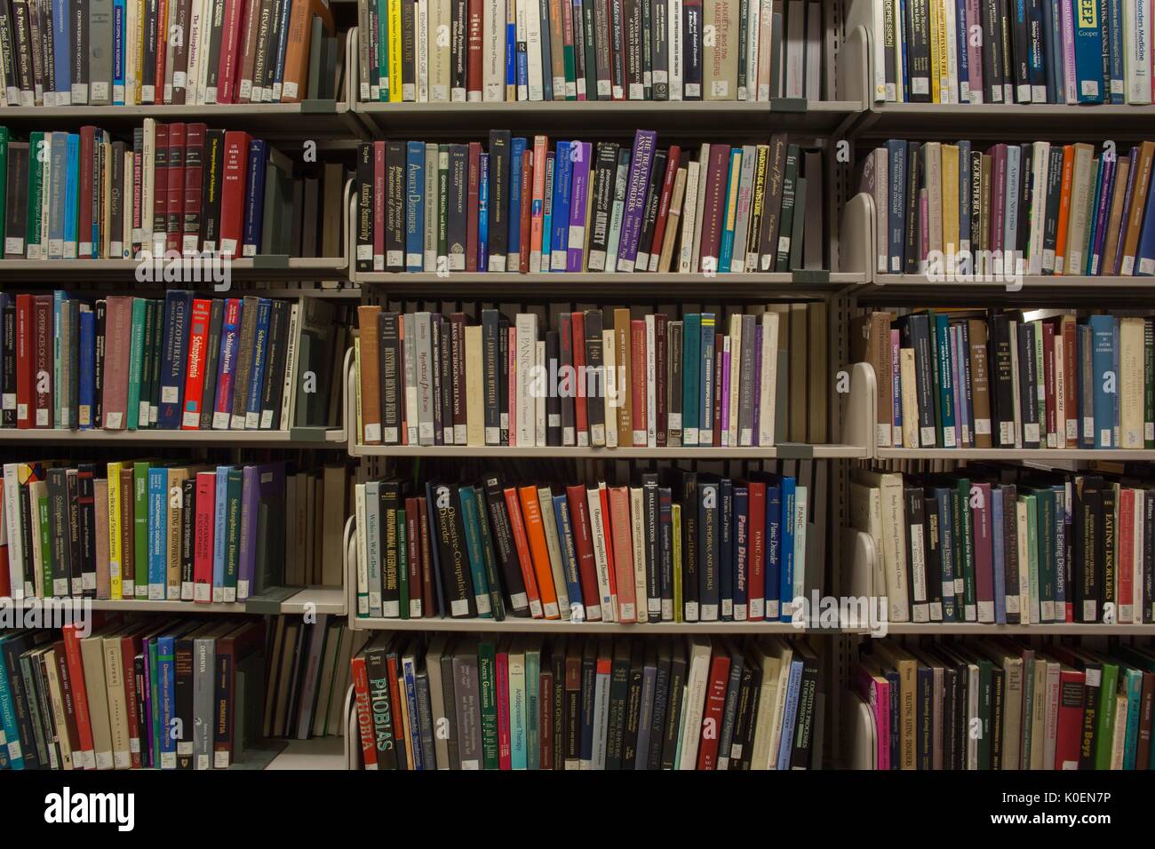 Regale voller Bücher auf C-Level, eine ruhige Etage zum Studieren, in der Milton S. Eisenhower Library auf dem Homewood Campus der Johns Hopkins University in Baltimore, Maryland, 2014. Mit Freundlicher Genehmigung Von Eric Chen. Stockfoto