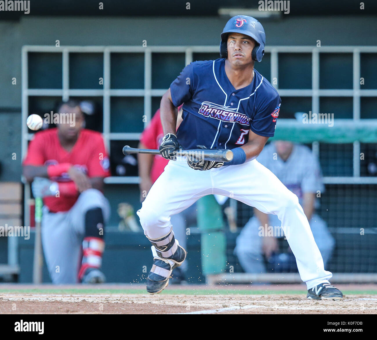 22.08.2017, Jacksonville, FL, USA: Jacksonville Jumbo Shrimps shortstop Cleuluis Rondon (2) bunts im ersten Spiel eines MiLB baseball Doppelspiel gegen die Birmingham Barons in Jacksonville, FL. Jacksonville besiegt Birmingham 4 zu 3. Gary McCullough/CSM Stockfoto