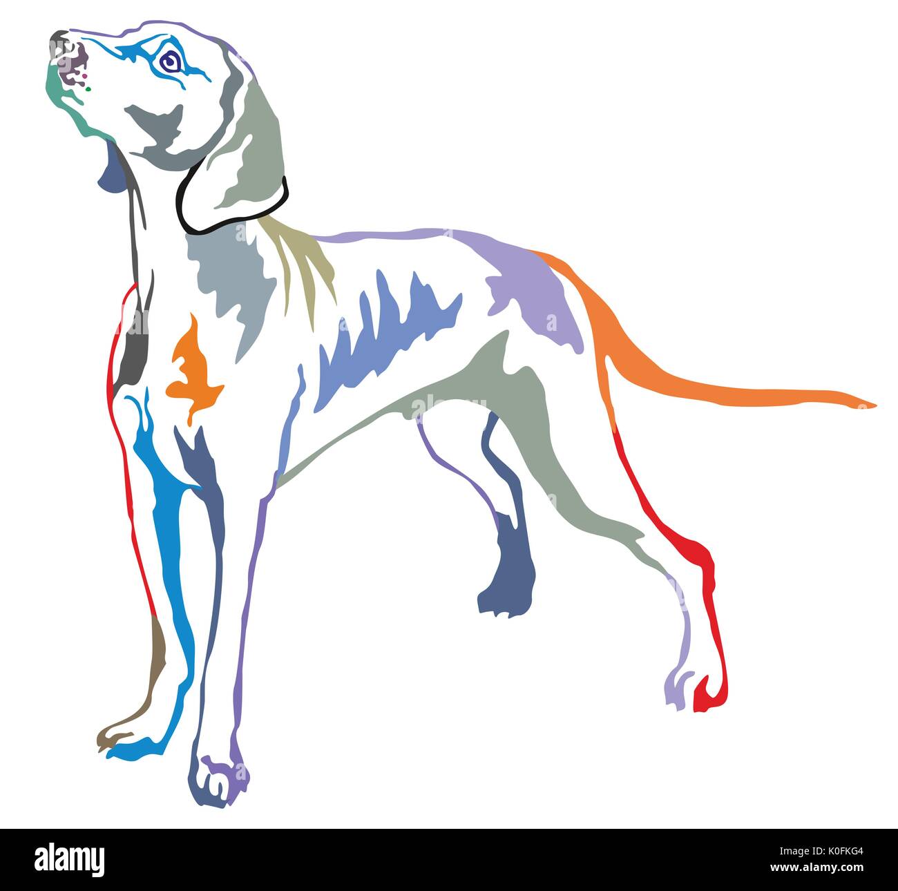 Bunt dekorativ Portrait von ständigen im Profil Weimaraner, Vektor isoliert Abbildung auf weißem Hintergrund Stock Vektor