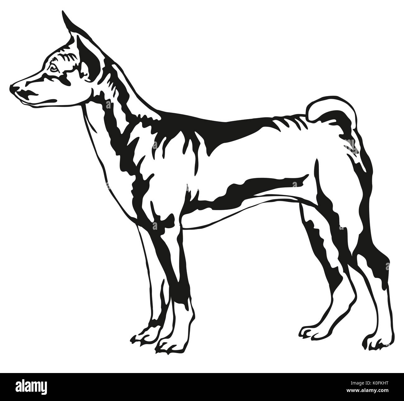 Dekorative Portrait von ständigen im Profil Basenji, Vektor isoliert Abbildung in schwarz auf weißem Hintergrund Stock Vektor