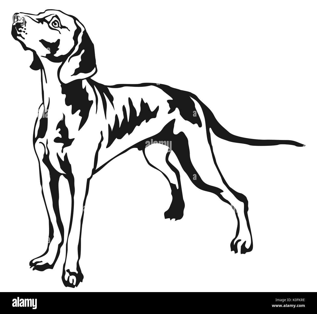 Dekorative Portrait von ständigen im Profil Weimaraner, Vektor isoliert Abbildung in schwarz auf weißem Hintergrund Stock Vektor