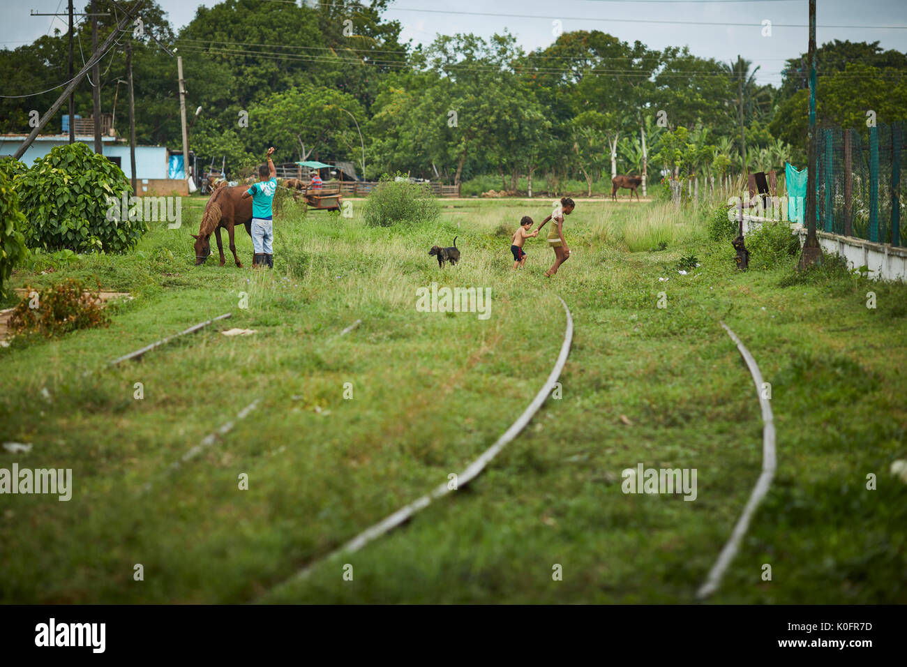 Kuba, Kuba, Cardenas, Skinny Dorfbewohner Hund auf der Bahn Stockfoto