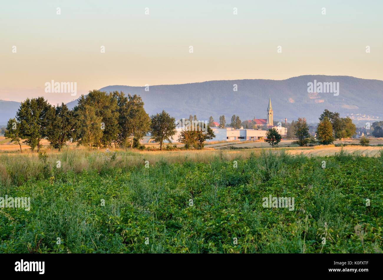 Sommer der ländlichen Landschaft. Auf dem Land in Polen vor dem Hintergrund der schönen Hügeln. Stockfoto