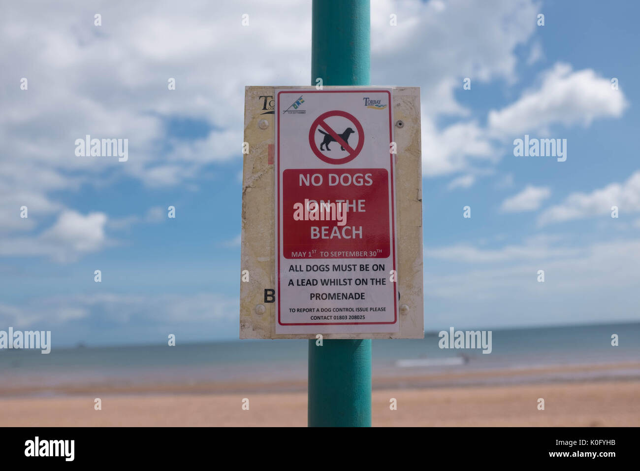 Keine Hunde am Strand anmelden Stockfoto