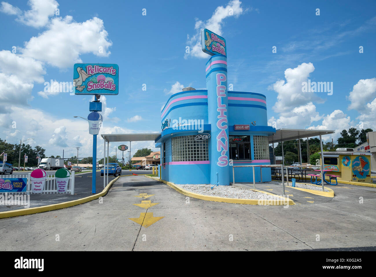 Pelikane Schneebälle in Lake City, Florida. Stockfoto