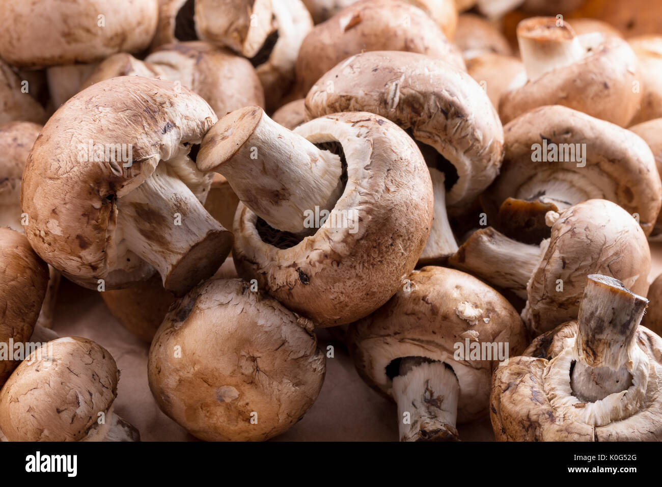 Nahaufnahme der Champignons Stockfoto