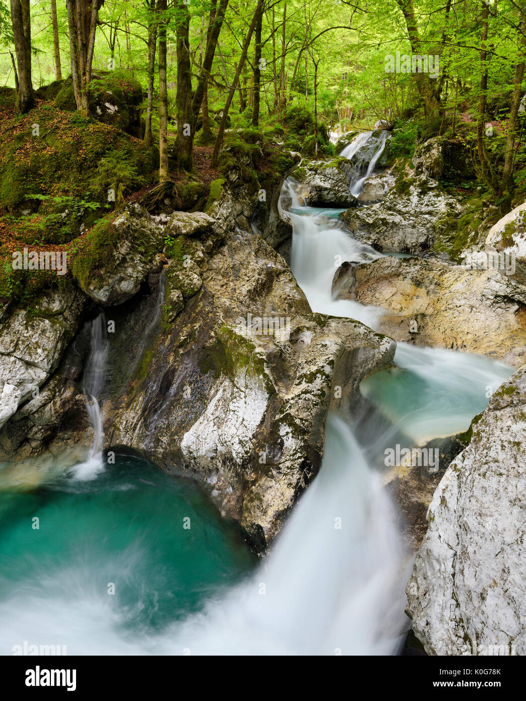 Grünen Wald Pool und erodierten Karst am Lepenica River bei Sunikov Vodni Gaj Naturschutzgebiet im Triglav Nationalpark Julische Alpen Slowenien Lepena Tal Stockfoto