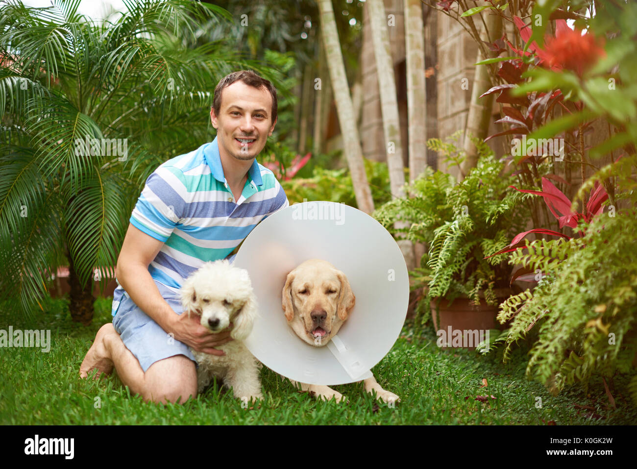 Junger Mann mit zwei Hunden auf grünem Gras Hintergrund Stockfoto