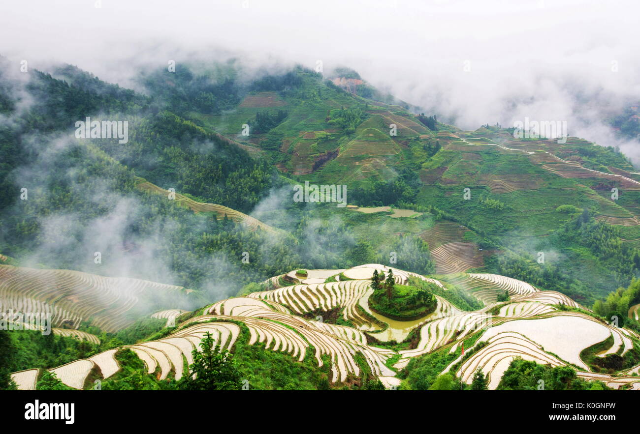 Nebelig mystische Reis terrasse Landschaft in Longsheng, China, Asien Stockfoto