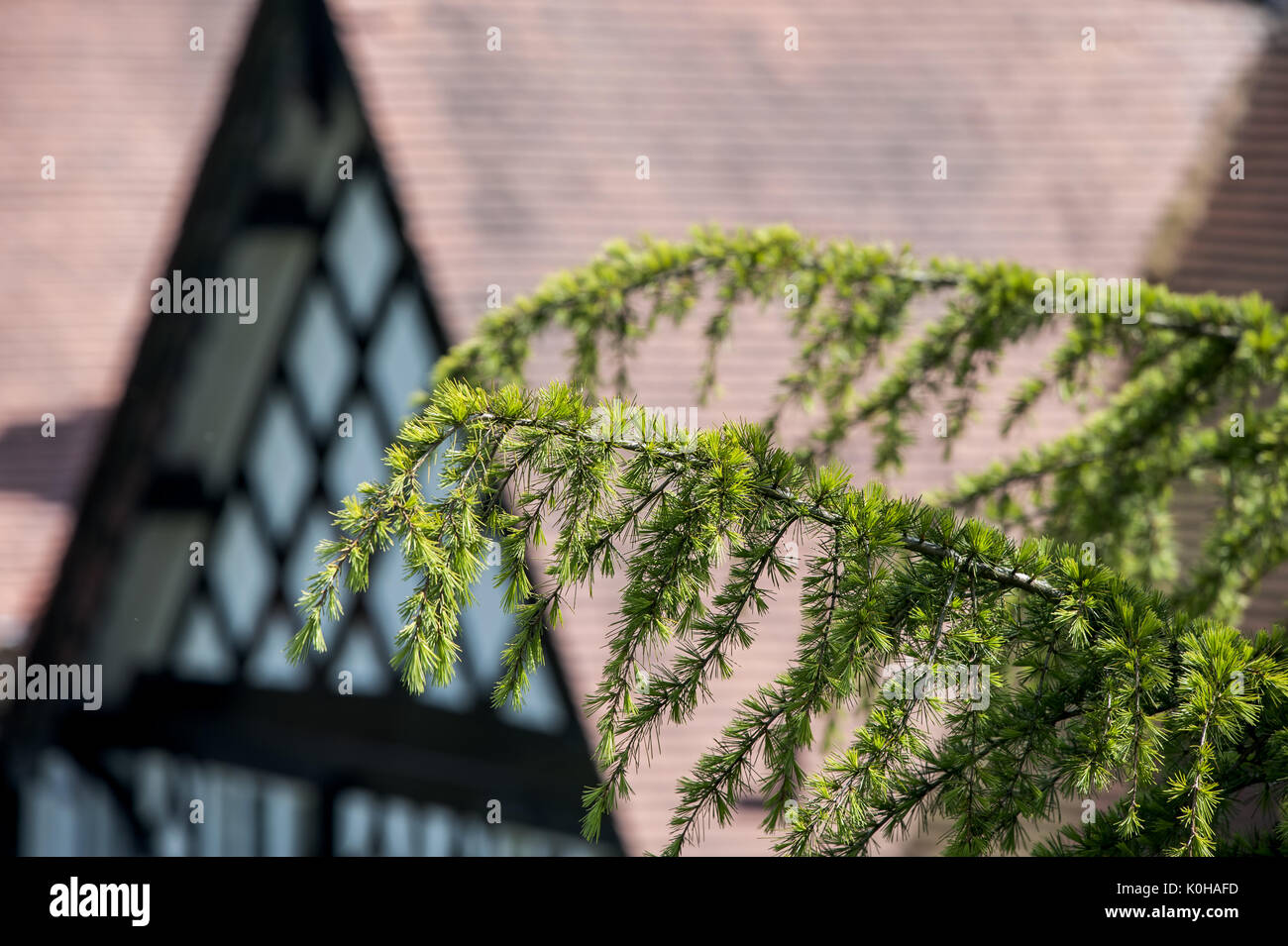Blick auf und aus dem Brunnen Denkmal in Worsley Grün Stockfoto