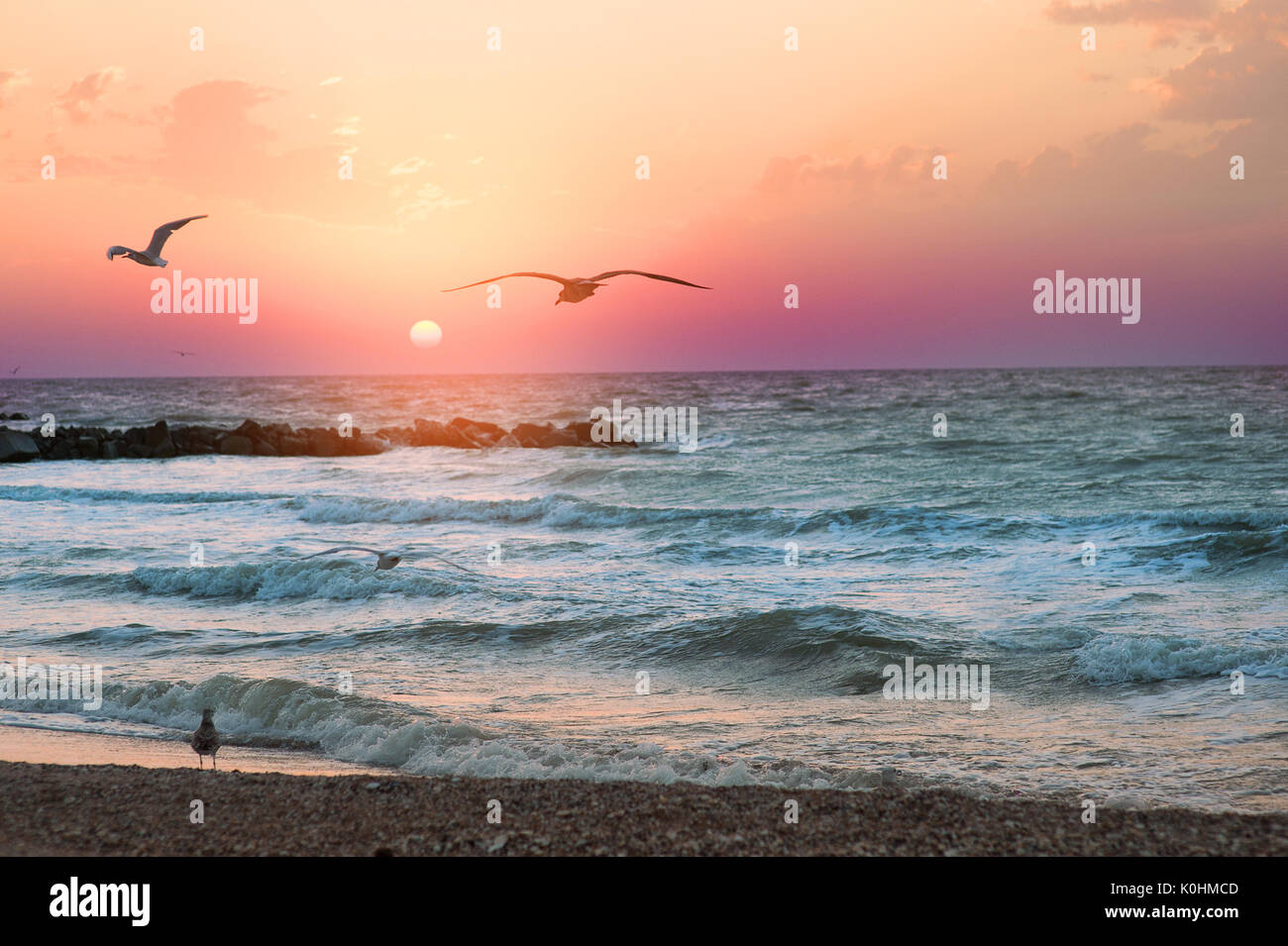 Möwen fliegen über dem Meer Stockfoto