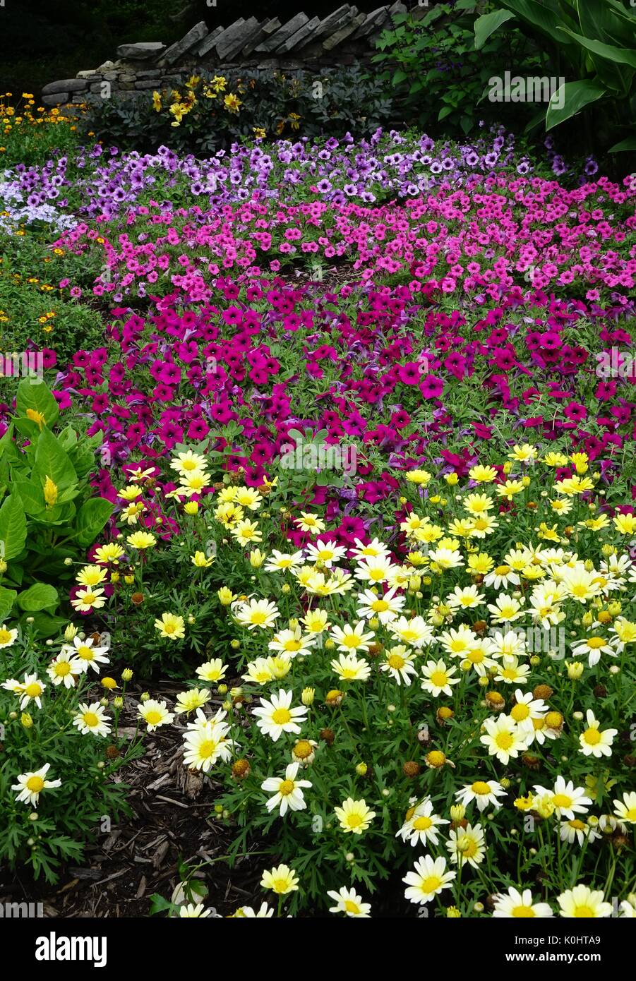 Blumenarrangement, Rutgers Gärten, New Brunswick, New Jersey Stockfoto