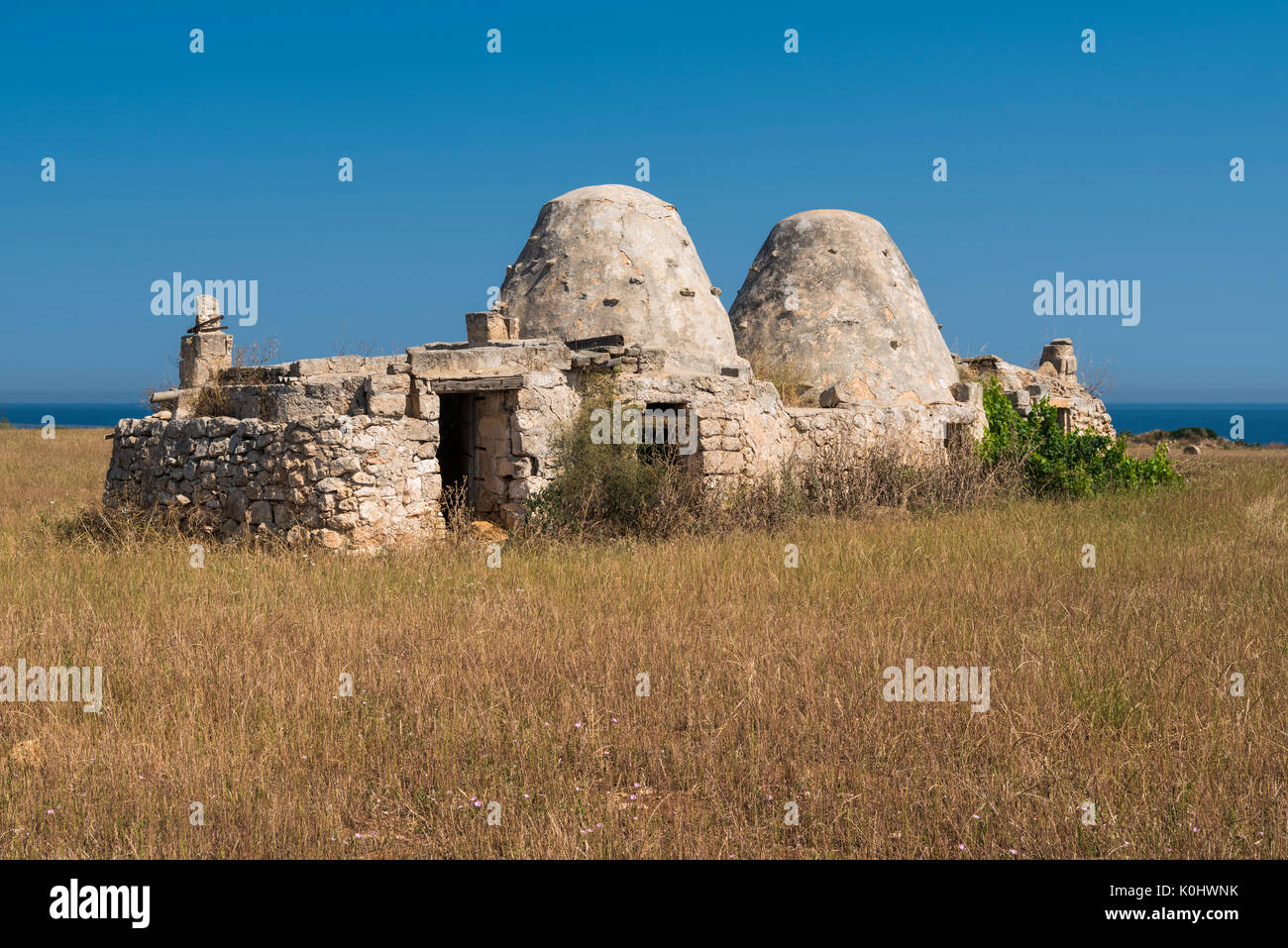 Cozze, Mola Di Bari, Provinz Bari, Apulien, Italien. Traditionelle apulische trockene Hütte aus Stein Stockfoto