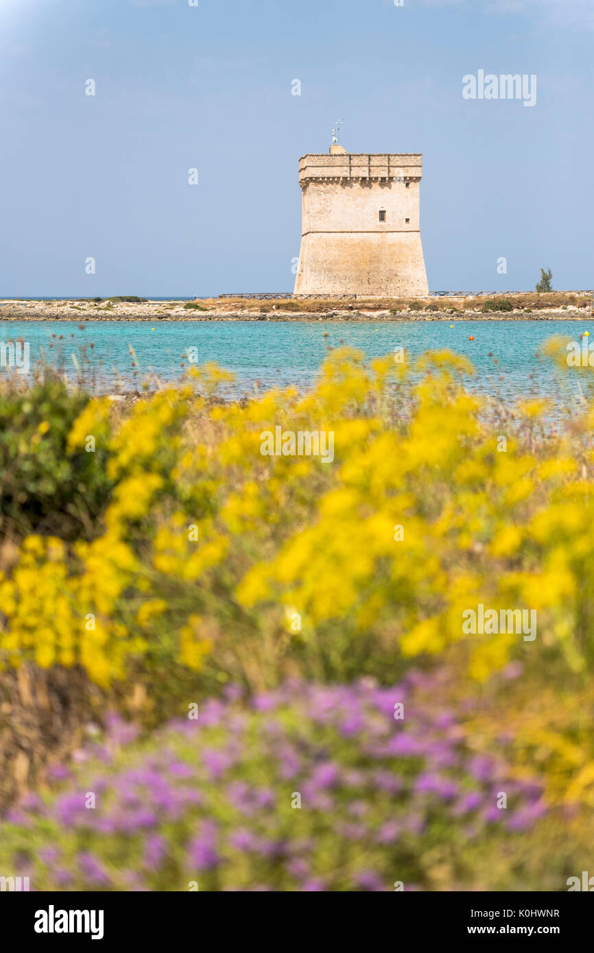 Porto Cesareo, Provinz Lecce, Salento, Apulien, Italien. Die chianca Turm Stockfoto