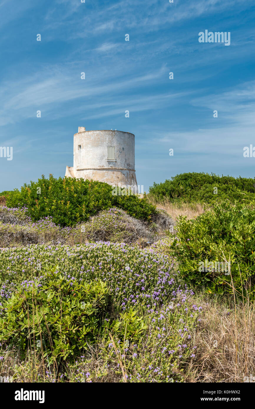 Punta Pizzo, Gallipoli, Provinz Lecce, Salento, Apulien, Italien. Der Turm von Punta Pizzo Stockfoto