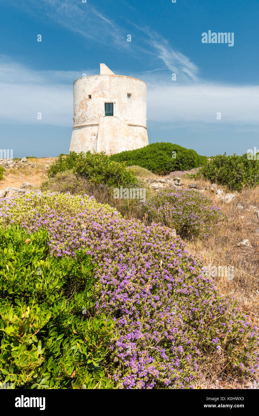 Punta Pizzo, Gallipoli, Provinz Lecce, Salento, Apulien, Italien. Der Turm von Punta Pizzo Stockfoto