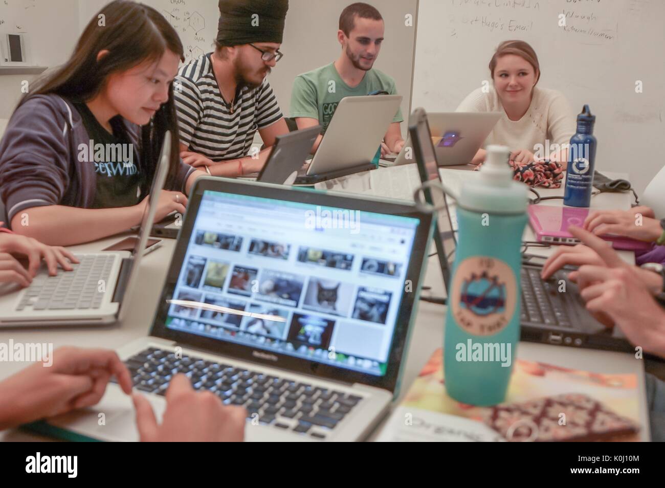 Eine Gruppe von Studenten in einem Brody Learning Commons Arbeitszimmer, von Laptops und Lernmaterial, 2016 umgeben. Mit freundlicher Genehmigung von Eric Chen. Stockfoto