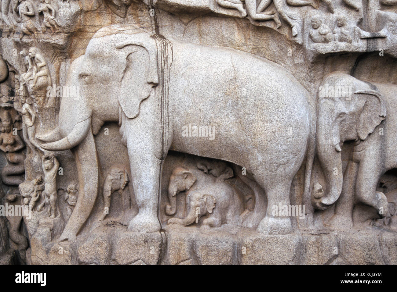 Relief auf der Vorderseite der Arjunas Buße, Mamallapuram (Mahabalipuram), Tamil Nadu, Indien Stockfoto