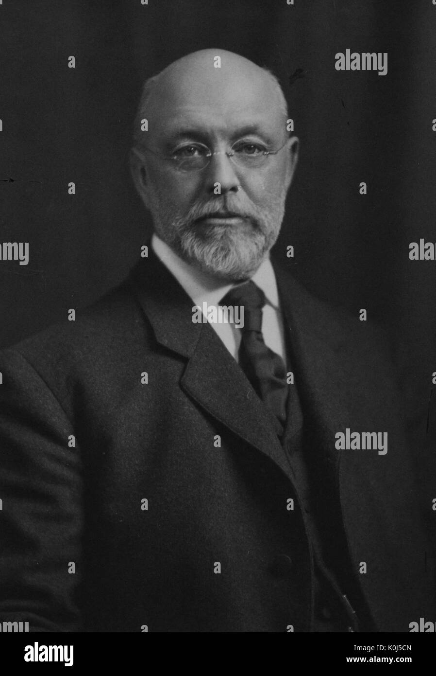 Halbe Länge sitzt Porträt der Chemiker und der zweite Präsident der Johns Hopkins University Ira Mallory Remsen. 1905. Stockfoto